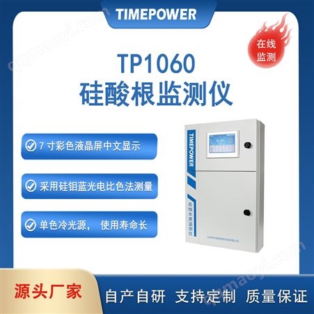 TP1060國產(chǎn)在線硅表公司